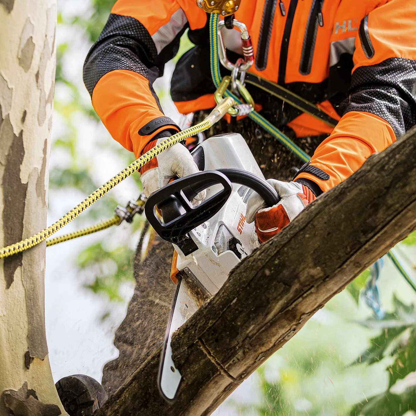Stihl MSA 161 T Cordless Chainsaw - AP System 4 Stihl MSA 161 T Cordless Chainsaw - AP System - Image 4
