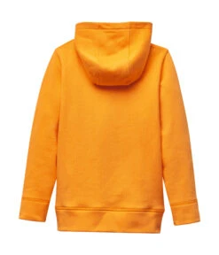 Orange STIHL Hoodie - Kids